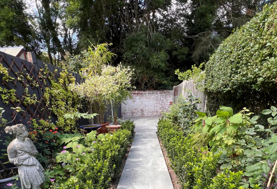 Small garden, Norwich  - Planting